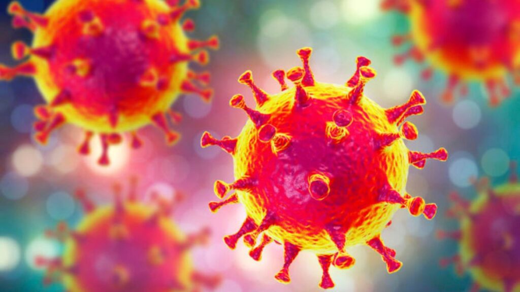 Worldcoronaviras are a group of viruses that affect humans and can cause serious illness and death.